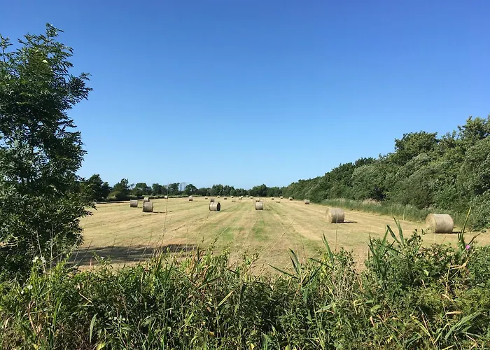 Klein Groenland 비크아프포르